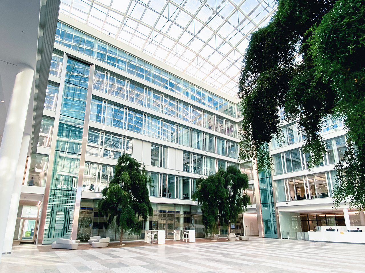 celus_office