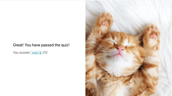 cat_meme_quiz