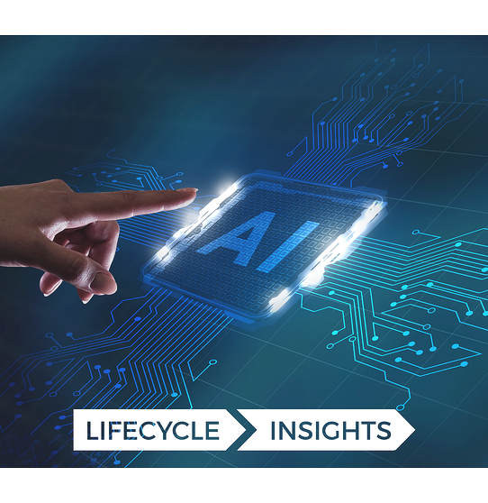 lifecycleinsights-2